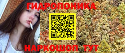 соль ск Северобайкальск