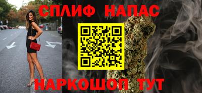 СК Славянск-на-Кубани