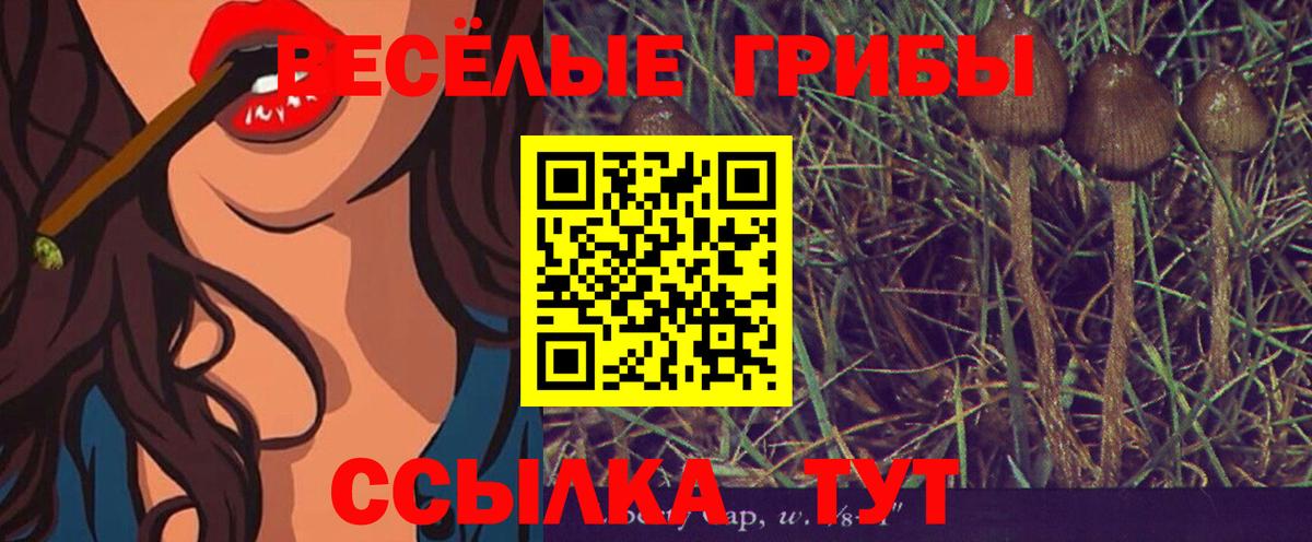 Нягань  Псилоцибиновые грибы мицелий  Вход с VPN 